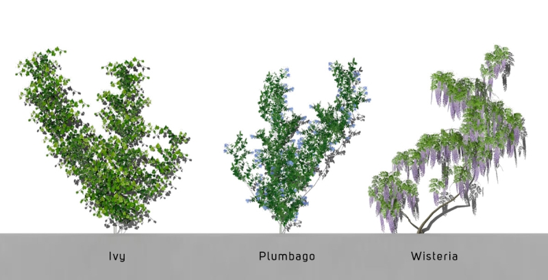 2D-3D Plants - Volume 01