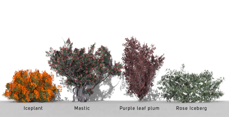 2D-3D Plants - Volume 07