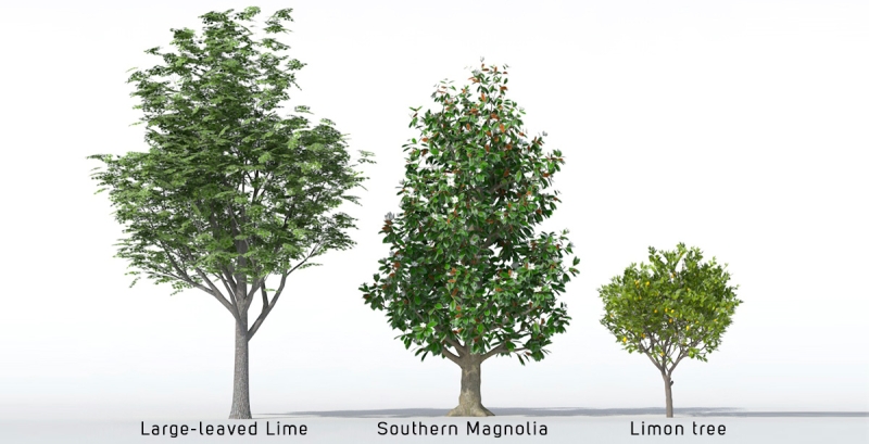 3D Trees - Volume 03