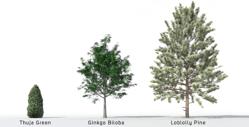 Alberi 3D - Volume 06