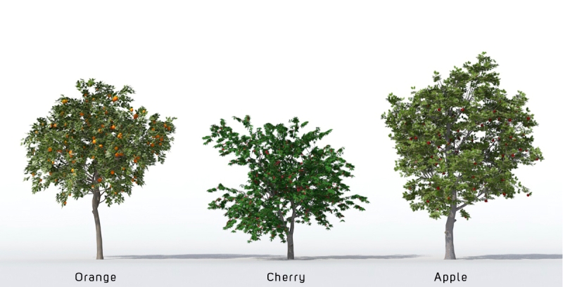 3D Trees - Volume 07