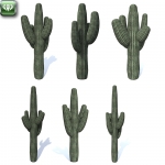 Cactus vol.2