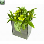 Flowers pot