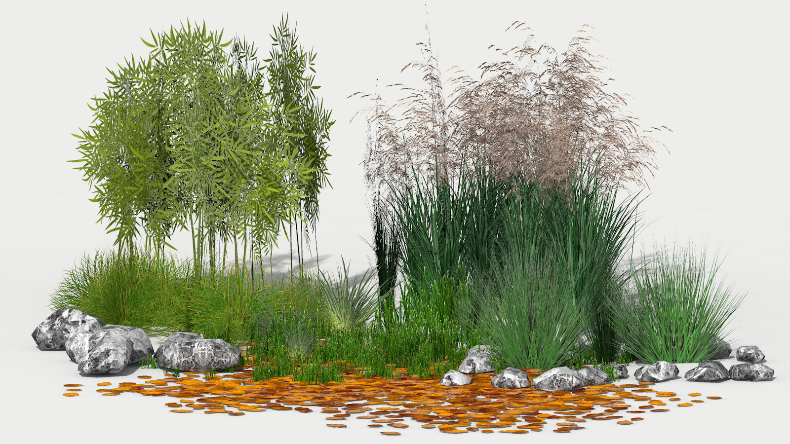 3D 2D Parametric Plants 07 news