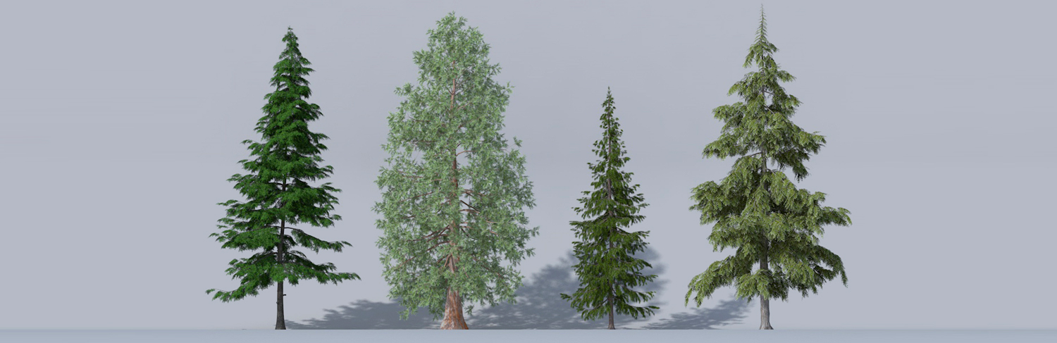 Archiradar trees collection 16